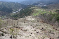 Po&scaron;umljavanjem opožarenog područja iznad naselja Homolje danas su Općina Konjic i Federalno ministarstvo poljoprivrede, vodoprivrede i &scaron;umarstva obilježili Dan planete Zemlje